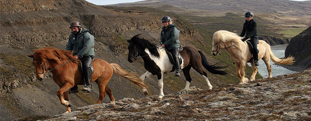 冰島必玩,冰島馬,冰島自由行