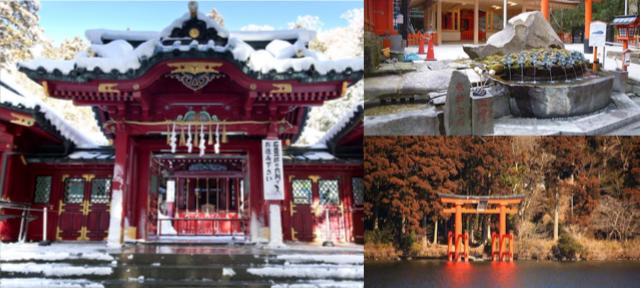 日本自由行,東京自由行,箱根自由行,箱根神社,九頭龍神社,鳥居,古樹