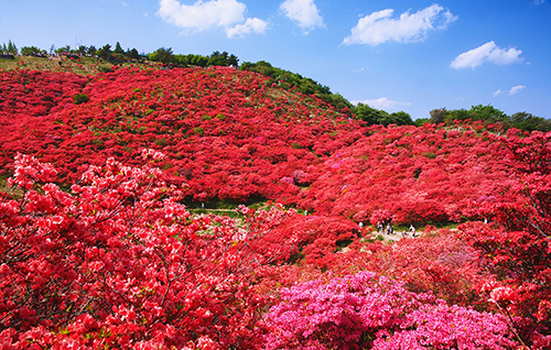 日本奈良縣位於奈良縣中西部的葛城山