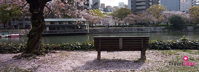 日本櫻花,日本櫻花2016,廣島,平和紀念公園,平和紀念資料館,本通商店街,藥妝