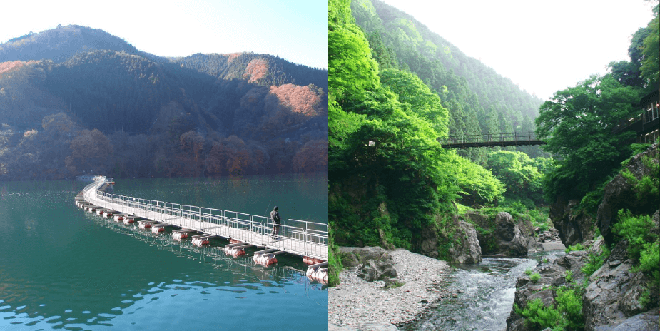 東京,東京景點,東京自由行,東京近郊,東京自由行攻略