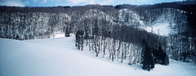 日本,樹冰,秋田,阿仁滑雪場,日本自由行