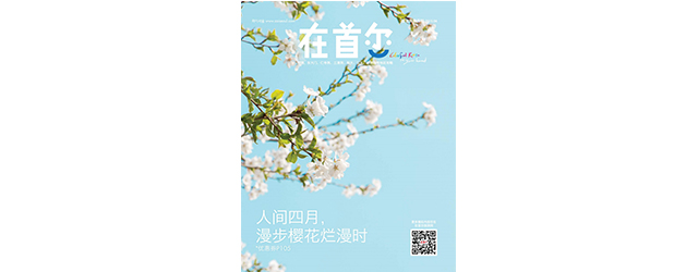 優惠券,免費,在首爾,雜誌,首爾,韓國, 莎拉