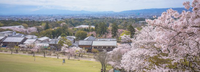 日本,奈良, 若草山,日本自由行,奈良自由竹,timmilk,defever