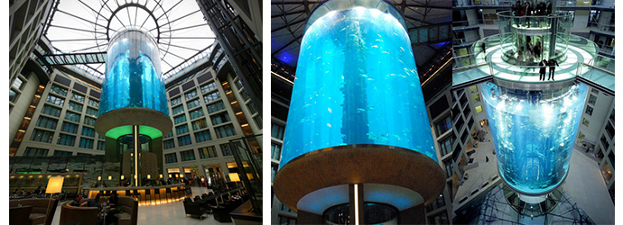 Radisson,德國,柏林,全球最大圓形魚缸