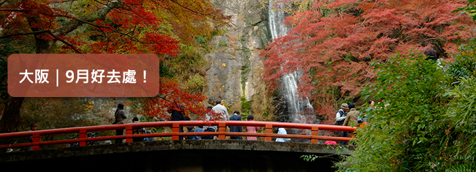 日本,大阪自由行,大阪好去處,水邊的遊樂街,岸和田花車節,秋季彼岸會,大阪來回機票