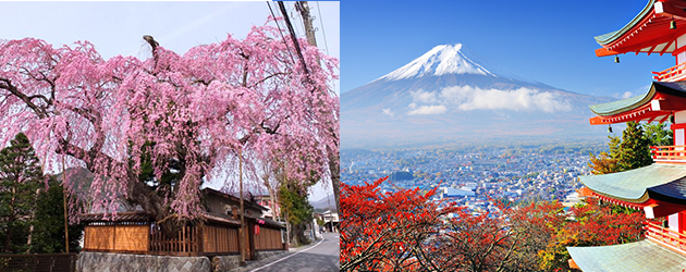 十大日本遺產,日本,日光市內,五箇山,白川鄉,小笠原諸島,平泉,白神山地,知床五湖