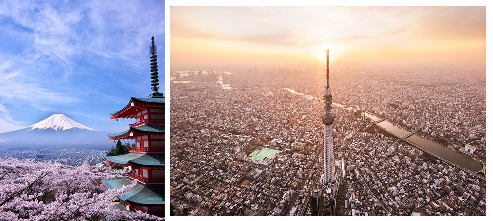 東京 ,自由行,小貼士,旅行