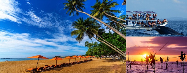 斯里蘭卡自由行,斯里蘭卡景點,海灘度假