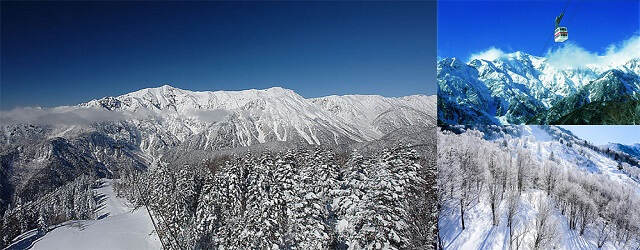 日本自由行,日本冬季旅遊,日本景點