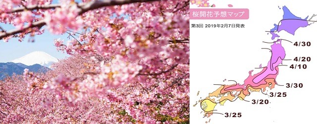 日本自由行,日本櫻花預測,日本櫻花