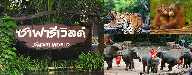 曼谷自由行,曼谷野生動物世界,泰國,曼谷