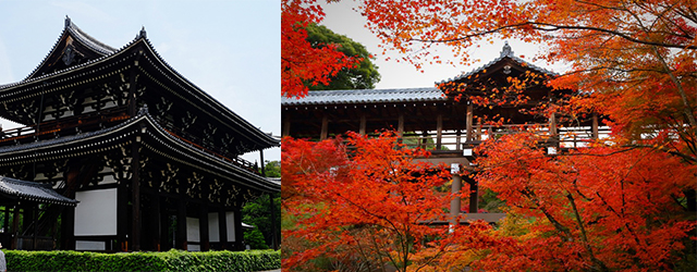 日本,京都,京都賞楓,紅葉,京都旅遊,東福寺,日本賞楓,2017賞楓,日本旅遊,京都自由行