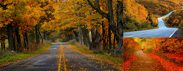 賞楓,加拿大,楓葉之國,加拿大自由行,尼加拉大瀑布,Cabot Trail,Thousand Islands,Niagara Falls,Algonquin  Provincial Park,Canyon Ste-Anne,聖安妮峽谷,楓葉大道