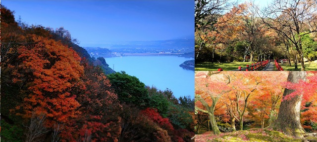 台灣,賞楓,楓葉,陽明山國家公園,奧萬大樂活莊園,桃源仙谷,石門水庫,太平山國家公園,拉拉山