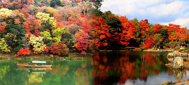 日本,京都,嵐山,賞楓,渡月橋,天龍寺,常寂光寺,嵐山小火車