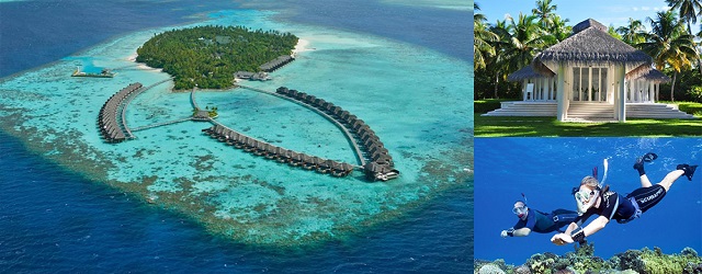 馬爾代夫,馬爾代夫自由行,景點,度假,阿雅達島,蜜月旅行