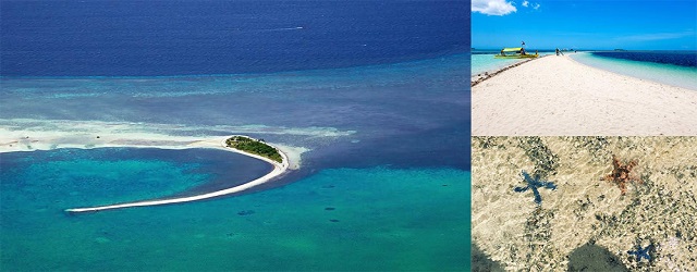 菲律賓,菲律賓自由行,薄荷島,處女島,景點,海島游