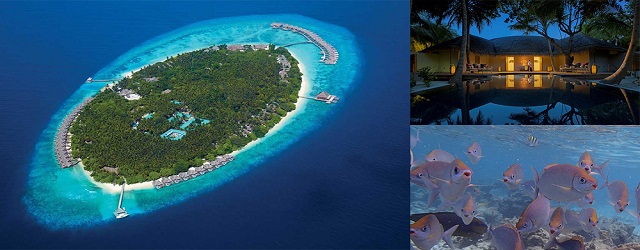 馬爾代夫,馬爾代夫自由行,度假島,都喜天闕島,蜜月島