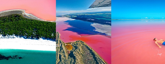西澳大利亞,西澳大利亞自由行,粉紅湖,景點,必到,北粉湖Hutt Lagoon,粉紅湖Pink Lake,南粉湖Lake Hillier