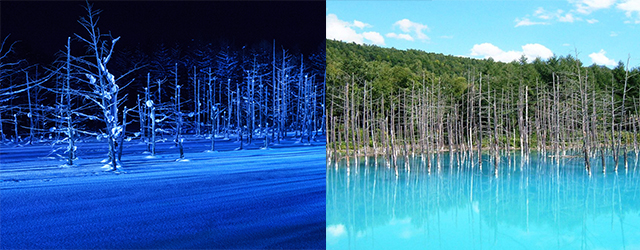 北海道,北海道冬季旅遊,北海道冬季活動,青池點燈,青池點燈2018,青池,北海道自由行,日本自由行,冬季旅遊