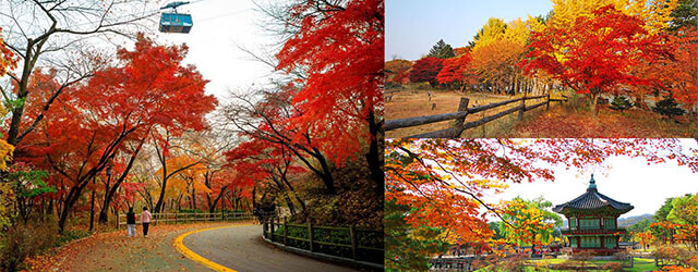 韓國自由行,韓國紅葉,紅葉景點,紅葉預測
