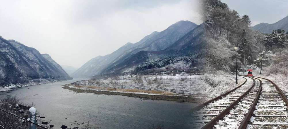 韓國,冬天自由行,鐵路單車,南怡島