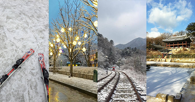 韓國冬天,自由行,賞雪,玩雪一日遊,南怡島,愛寶樂園,滑雪,昌德宮