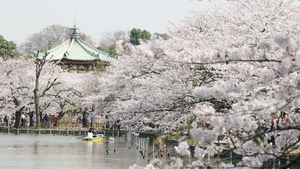 上野