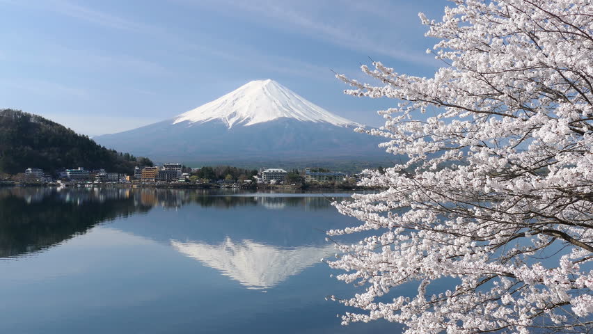 河口湖自由行