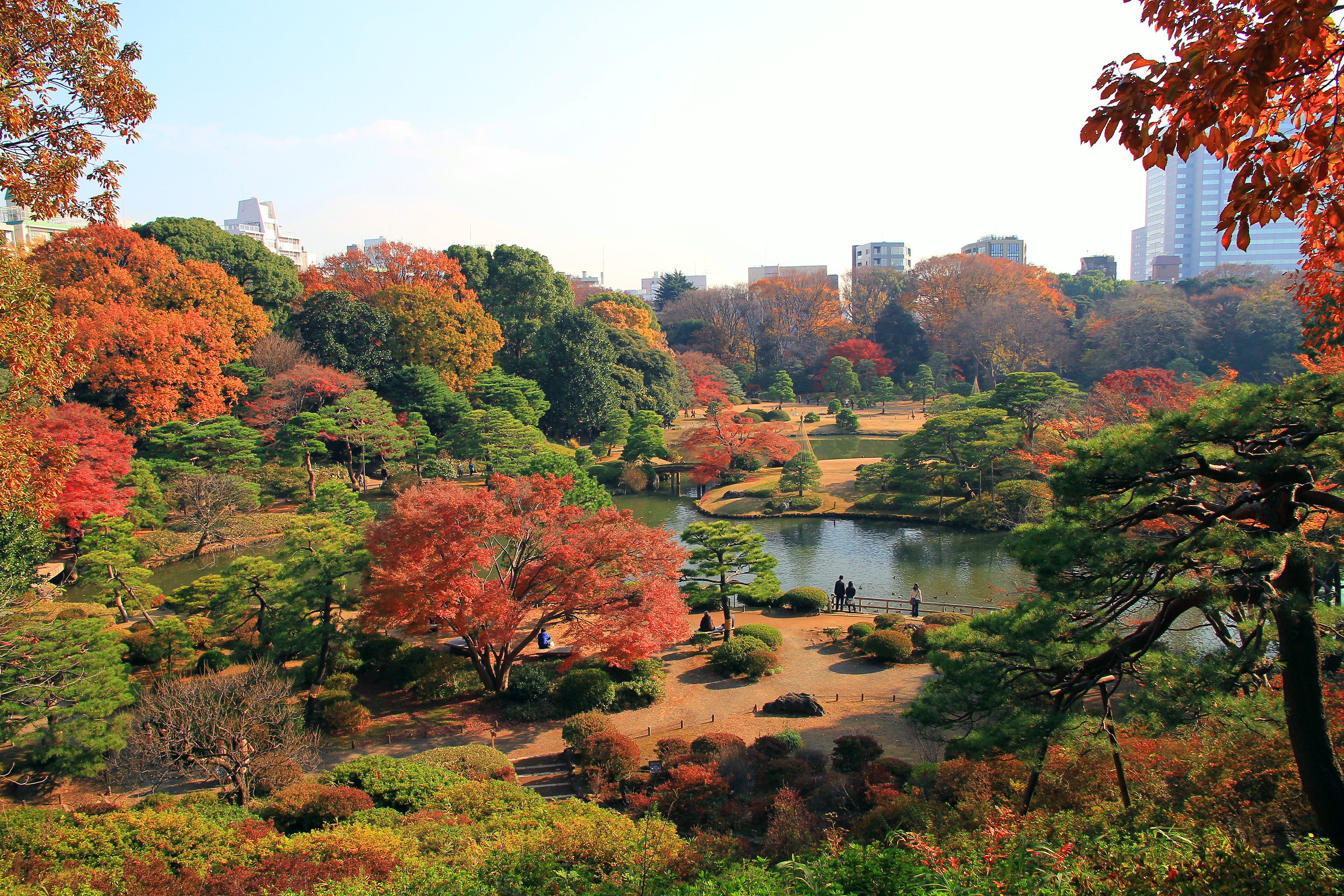 賞楓聖地 六義園 紅葉與大名庭園點燈 Travelliker 愛遊人