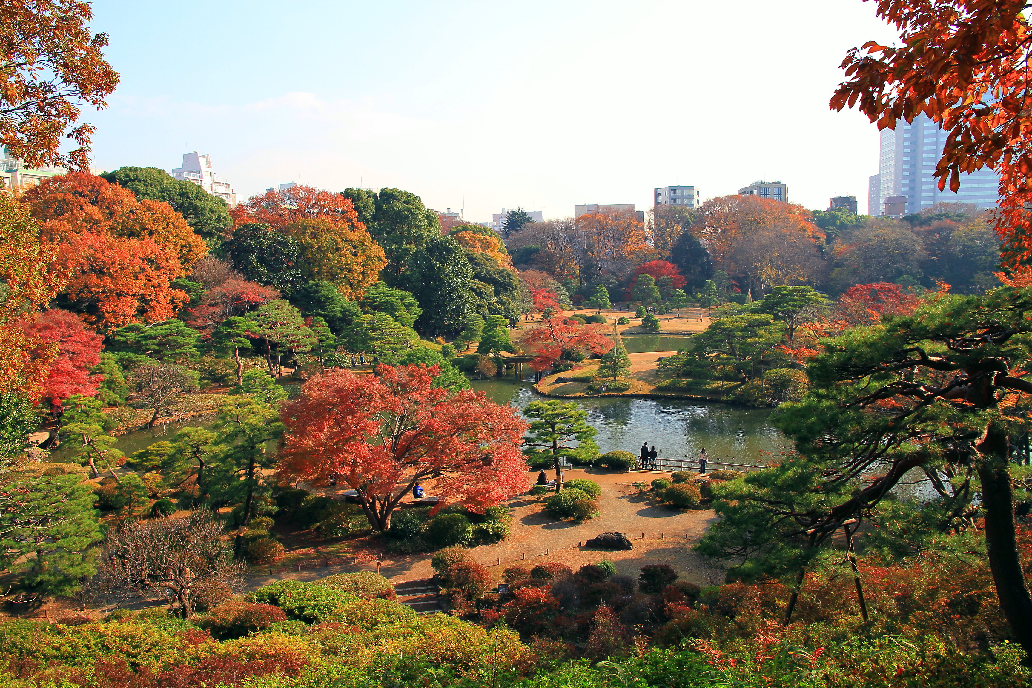 「六義園」的圖片搜尋結果