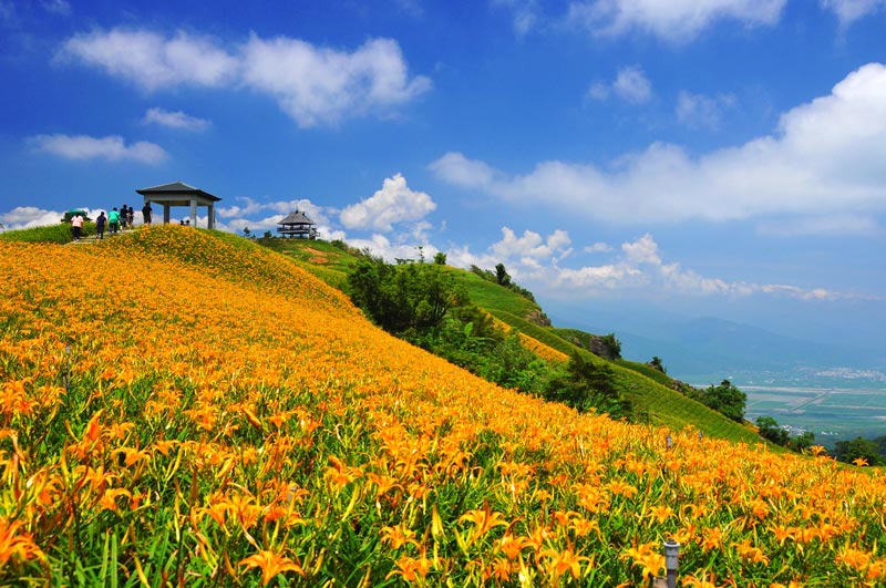 花蓮 六十石山