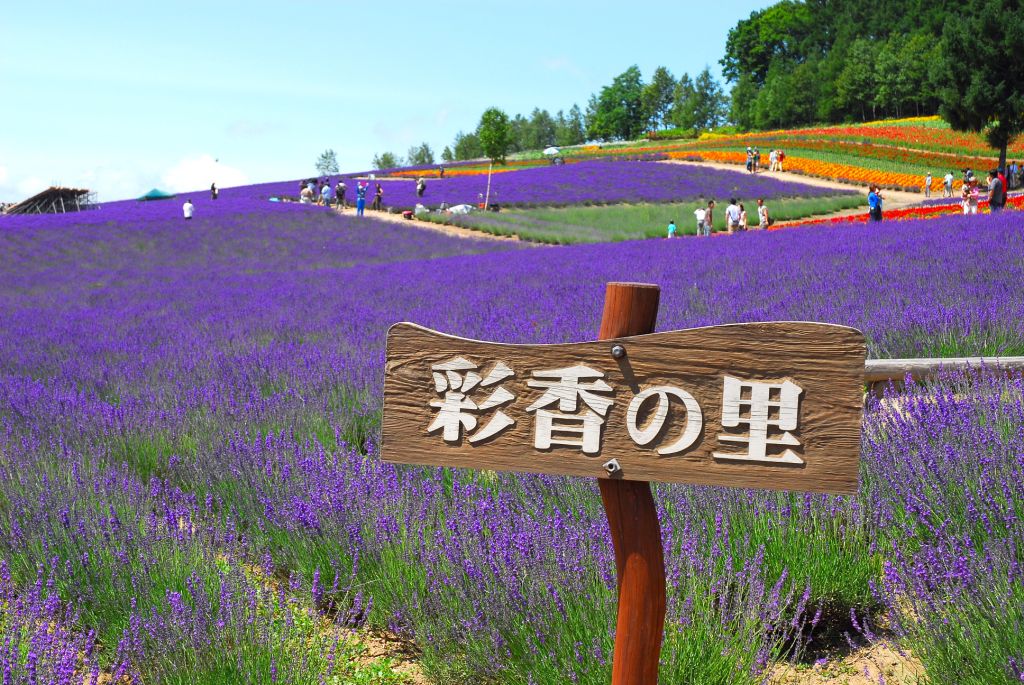 日本 賞花 花園