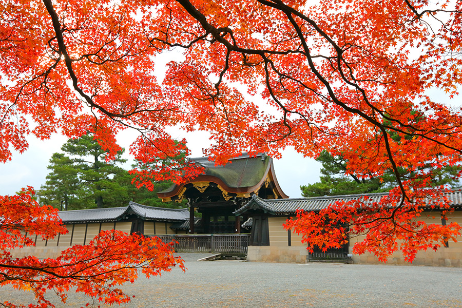 御苑 京都