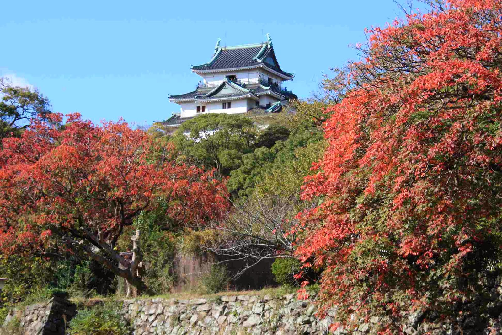 2017關西賞楓 和歌山城古建築與紅葉美景 Travelliker 愛遊人