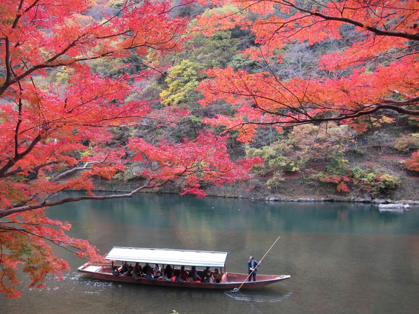 京都賞楓最自然路線