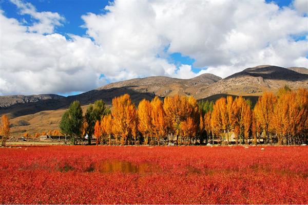 桑堆紅草灘