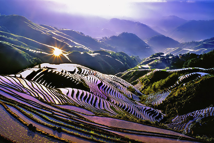 龍脊梯田必游五大景點