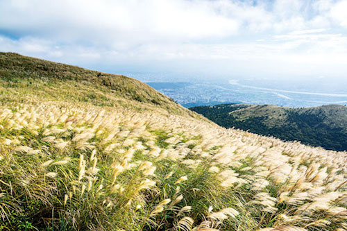 陽明山國家公園