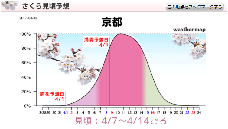 京都櫻花