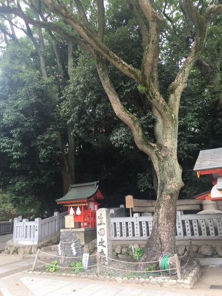 生田神社