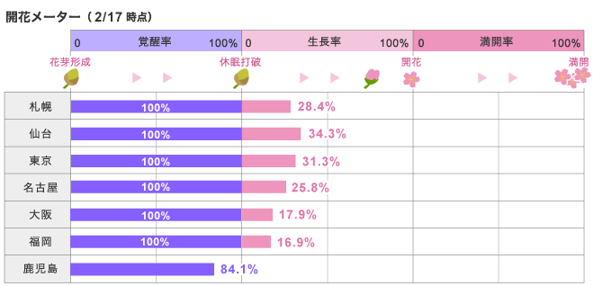 日本櫻花2016速報02