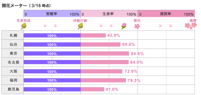 日本櫻花2016速報01