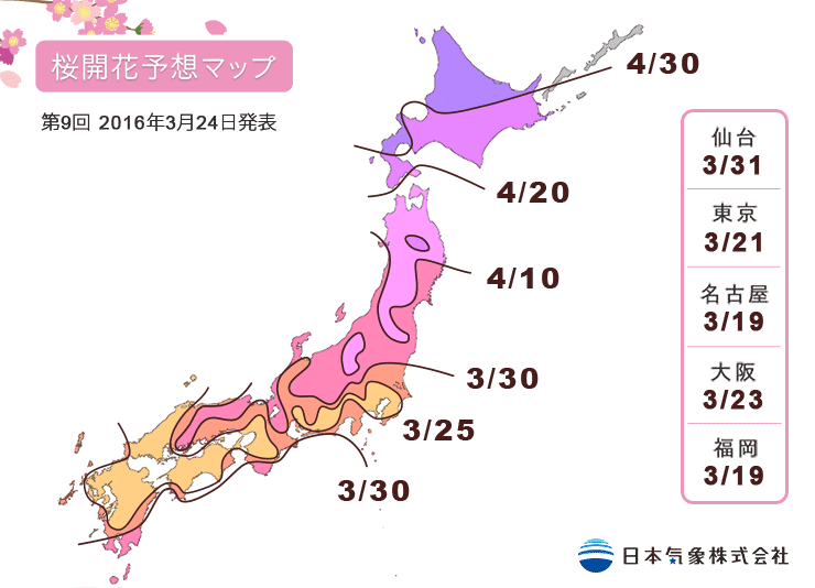 日本櫻花2016預賞期00