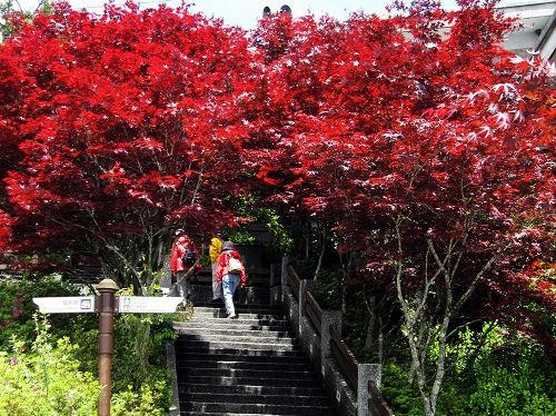 太平山國家公園