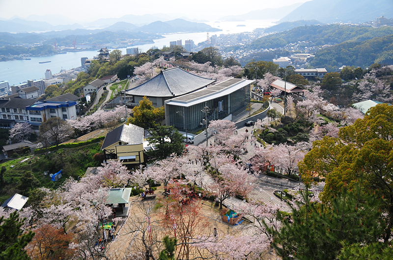 千光寺公園 