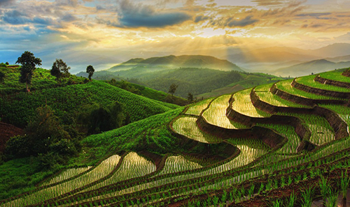 清邁Chiang Mai