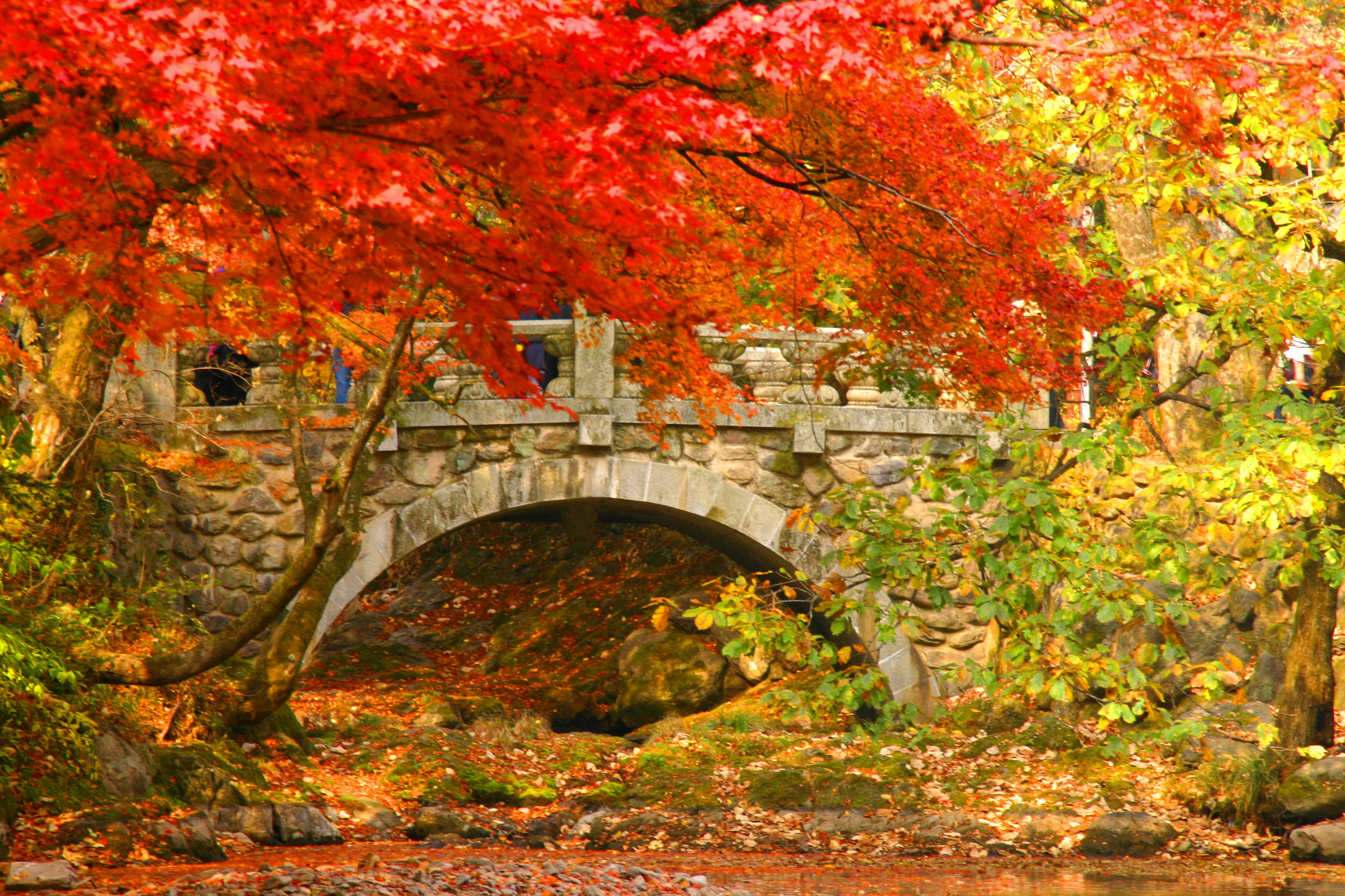 白羊寺 紅葉