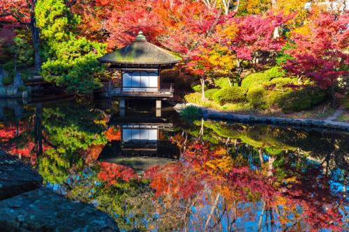 和歌山紅葉